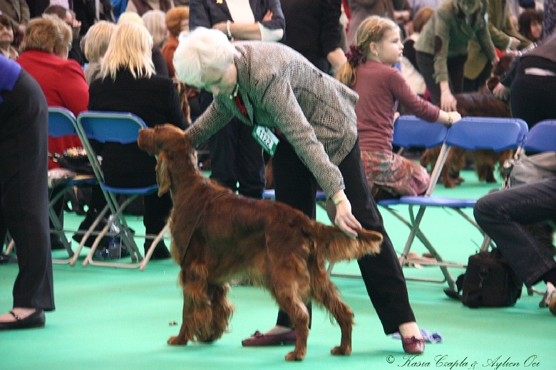 Crufts2011 788.jpg